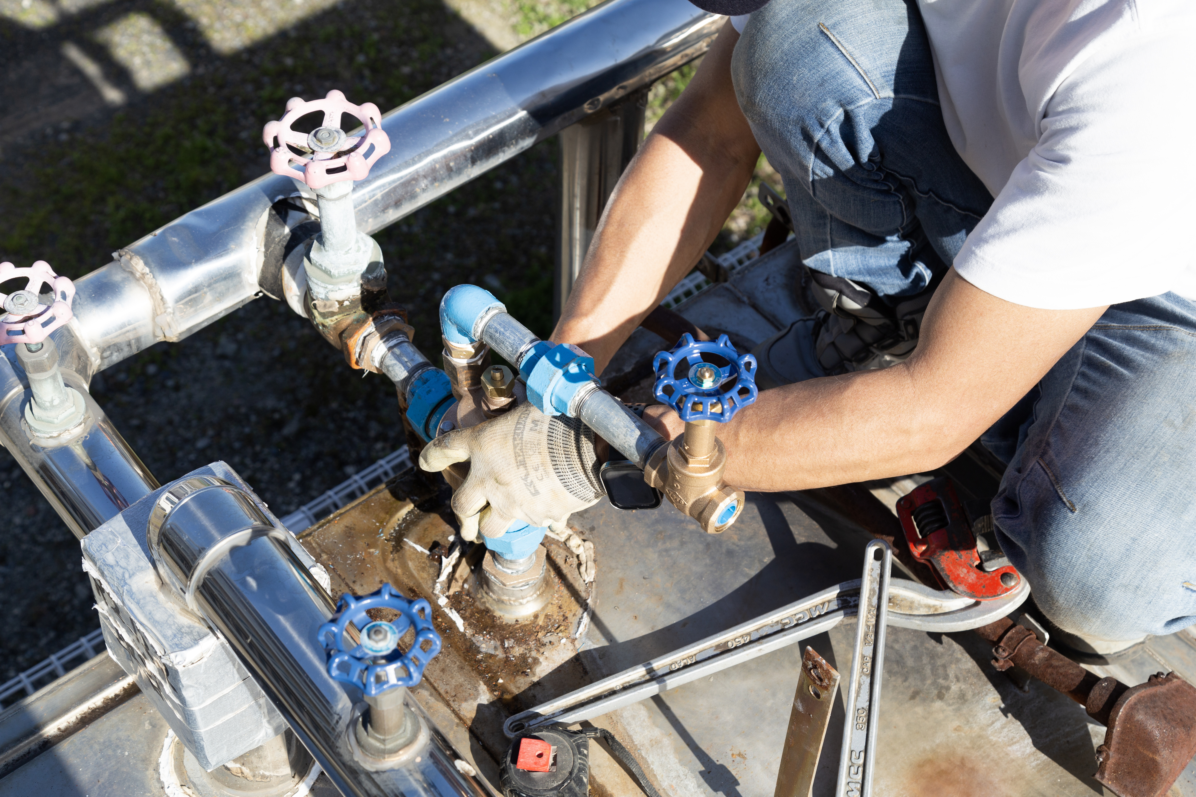 PASTA DE SHDイメージ画像